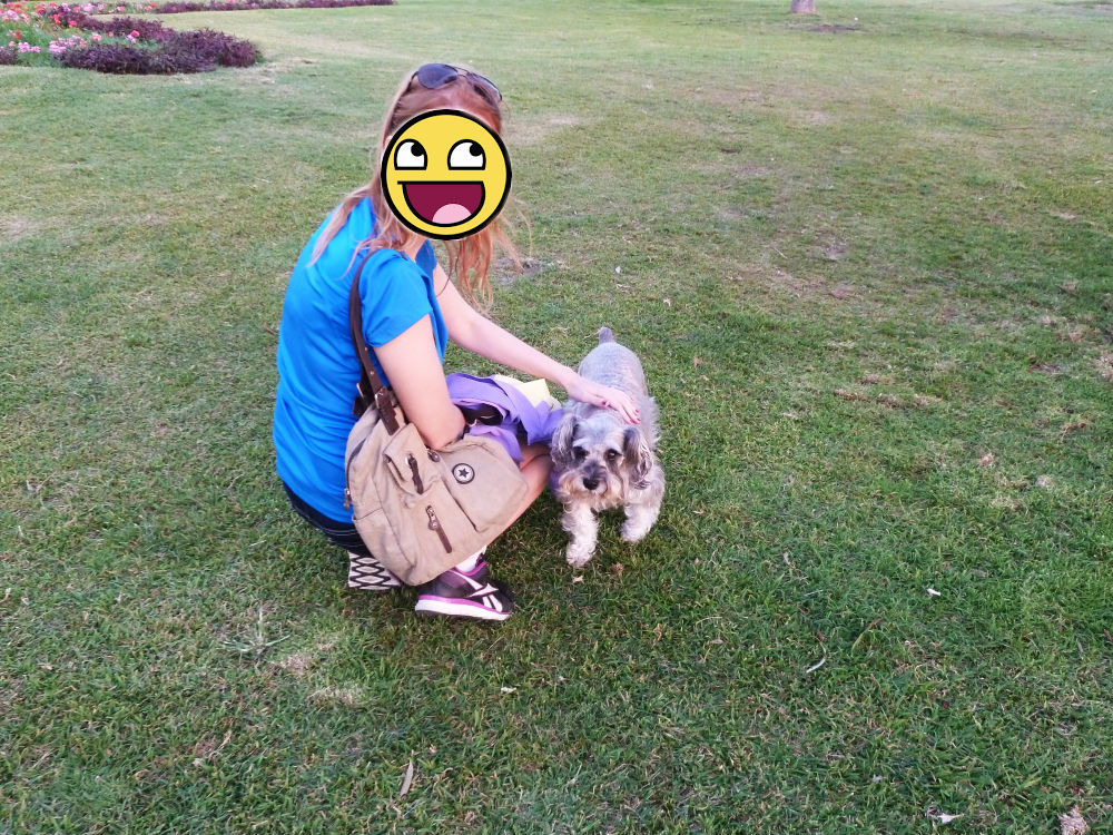 fazendo amigos maravilhosos