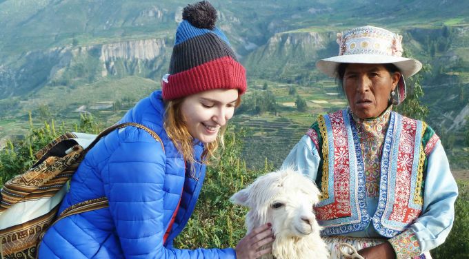 queridas alpacas obrigada por existirem4