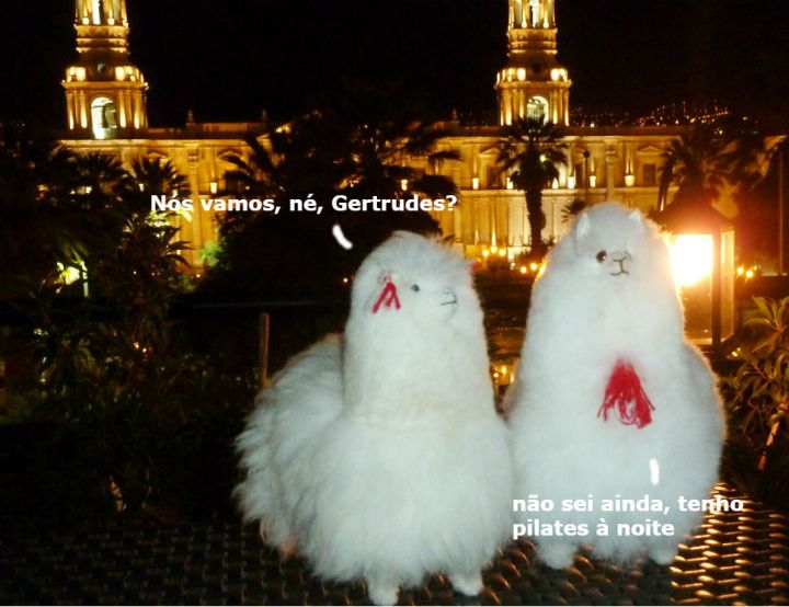 semana de gastronomia peruana solidaria