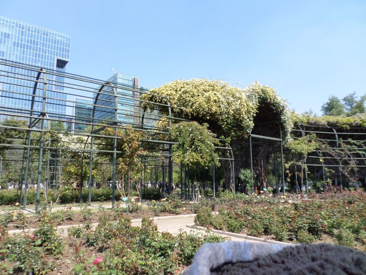 Os melhores e piores bairros de Santiago pra ficar