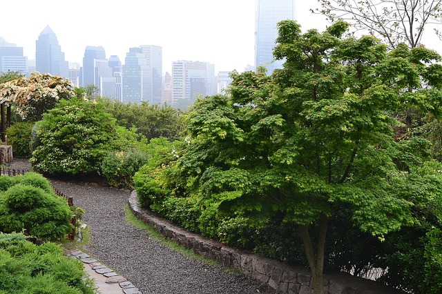o que fazer em santiago passeios gratuitos cerro san cristobal.jpg