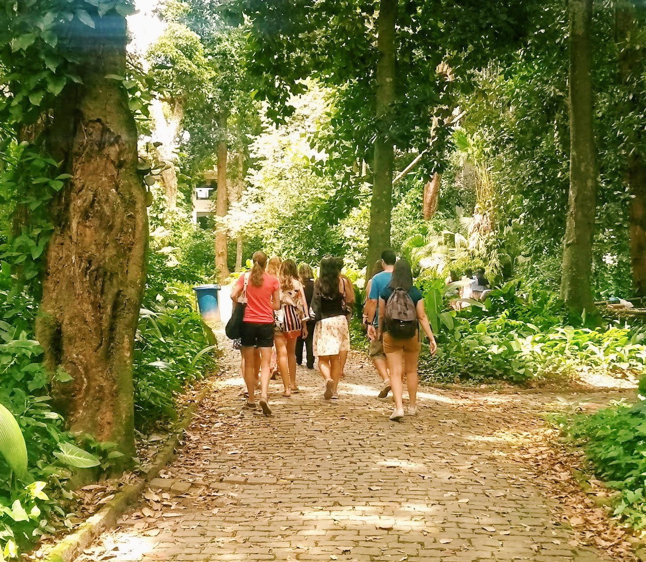 Dicas do parque Lage no Rio de Janeiro